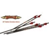 EXCALIBUR - Traits Carbone DIABLO 18" Pour Matrix (x6) -Arc Et Flèche Boutique excalibur traits carbone diablo 18 pour matrix x6