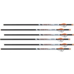 RAVIN - Traits Carbone .001 (x6)