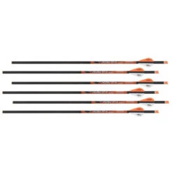 RAVIN - Traits Carbone .003 (x6)